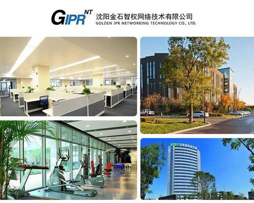 沈阳金石智权网络技术 信息技术咨询服务的行业引领者